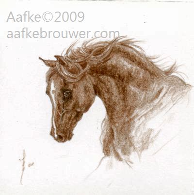 aafke brouwer horses equine art drawing portrait Rabhar